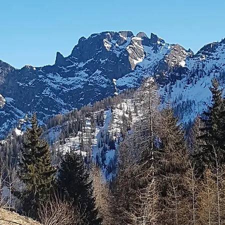 La Tana Della Volpe, - Bl Διαμέρισμα Falcade