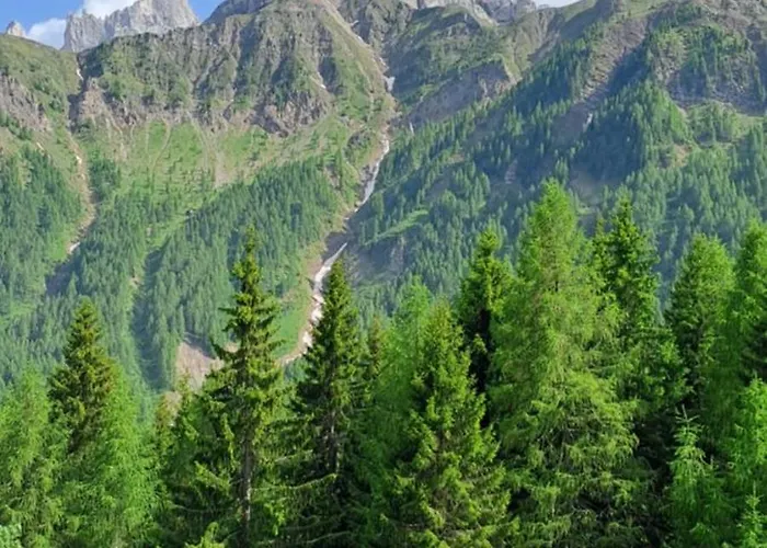 La Tana Della Volpe, - Bl *